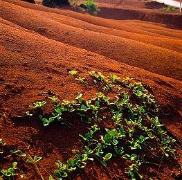 《黑神话》Steam全球销量超1600万份 太火爆了！