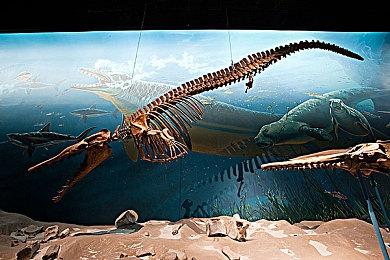 网传PS5 Pro仍将于2024年推出 售价可能是600美元